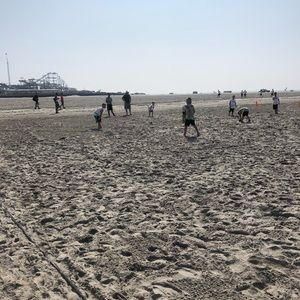 Meet your Posher, Derek